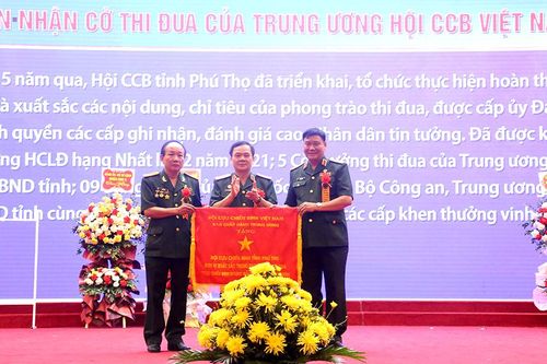 Đại hội thi đua yêu nước 'Cựu chiến binh gương mẫu' lần thứ VII