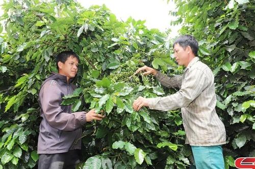 Nà Ớt nỗ lực giảm nghèo