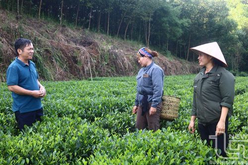 Người mang chè đi xa hơn
