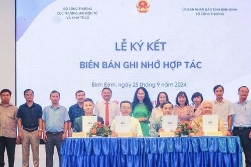 Thúc đẩy liên kết vùng trong phát triển thương mại điện tử