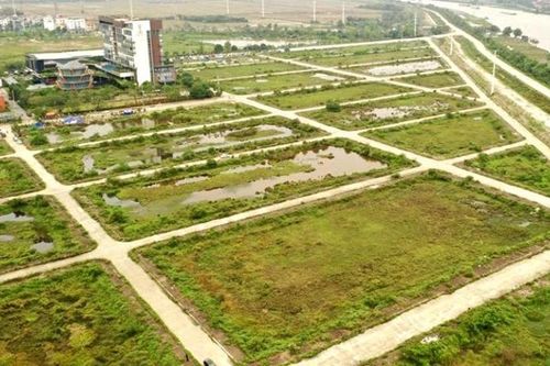 Ninh Bình: Phấn đấu hoàn thành cao nhất dự toán về thu tiền sử dụng đất