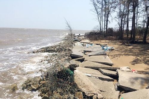 Bến Tre: Sạt lở nghiêm trọng đe dọa cồn Phú Đa