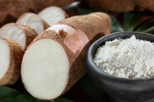 Trung Quốc chi hơn 9.600 tỷ đồng mua tinh bột sắn VN
