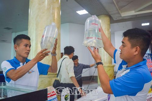 Ngọc Hiển - Nuôi tôm sinh thái gắn ngành hàng chủ lực