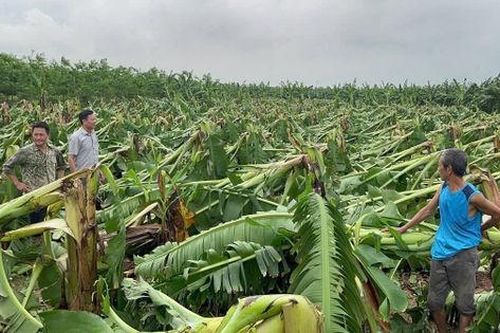 Đảm bảo thông thoáng, minh bạch trong triển khai hỗ trợ sau bão lũ
