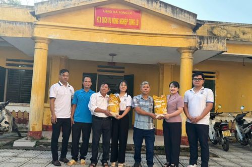 Liên minh Hợp tác xã Việt Nam hỗ trợ 35 tấn gạo cho người dân sau bão số 3