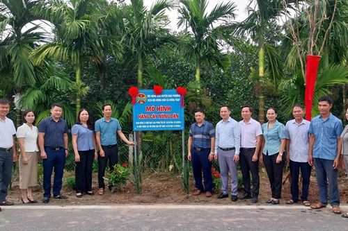 Nối dài những 'Hàng cây nông dân' ở Đan Phượng