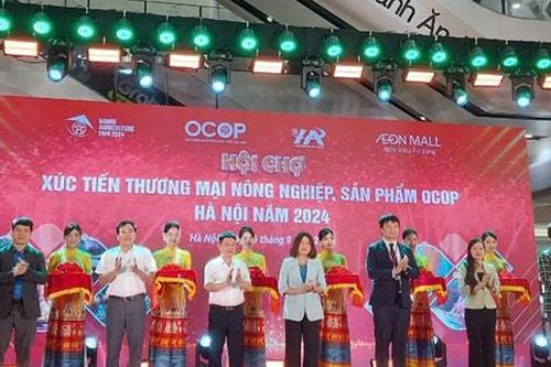 Khai mạc hội chợ xúc tiến thương mại nông nghiệp, sản phẩm OCOP Hà Nội