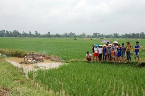 Hai người phụ nữ bị điện giật tử vong giữa cánh đồng