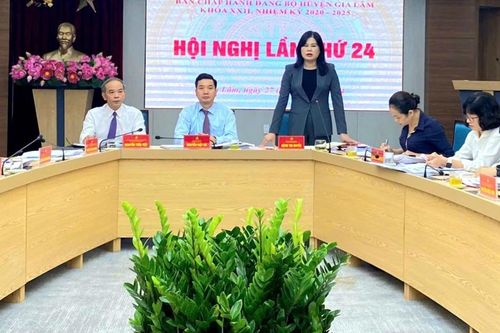 Huyện Gia Lâm: chuẩn bị đón nhận huyện Nông thôn mới nâng cao vào quý IV/2024