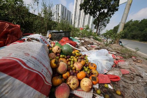 Rác thải 'tấn công' đường gom Đại lộ Thăng Long
