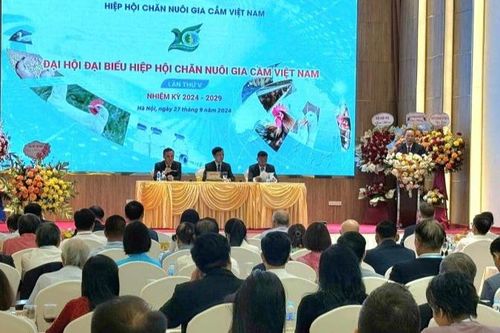 VIPA sát cánh, đồng hành cùng người chăn nuôi gia cầm