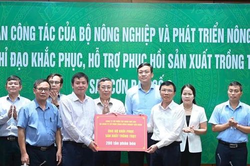 Bộ NN-PTNT huy động được 300 tấn giống và phân bón cho tỉnh Bắc Giang