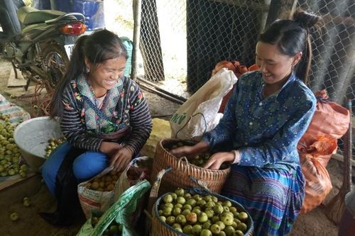 Nậm Pồ chăm lo đời sống đồng bào dân tộc thiểu số