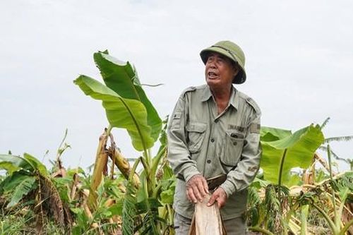Tái thiết sau bão Yagi - Kỳ V: Cách nào làm vơi nỗi buồn bên sông Luộc?