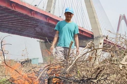 Người dân khóc nghẹn khi đốt từng gốc cây, nỗ lực 'hồi sinh' làng đào Nhật Tân sau bão lũ