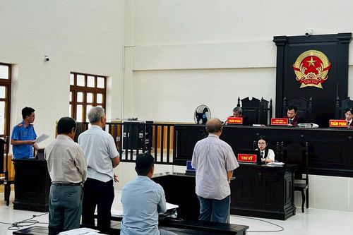 'Kỳ án' hủy hoại rừng tại Bình Thuận: Vì sao Viện kiểm sát rút một phần kháng nghị?