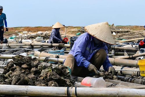 Thủ tướng: Miễn, giảm thuế và lãi vay cho người dân, doanh nghiệp bị bão lũ