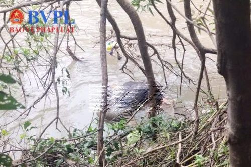 Tìm thấy thi thể nam sinh mất tích 5 ngày trước với chi tiết bất thường