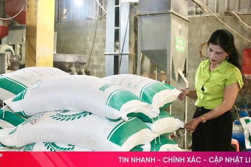 Nữ Giám đốc HTX tâm huyết 'nâng tầm' hạt gạo quê hương