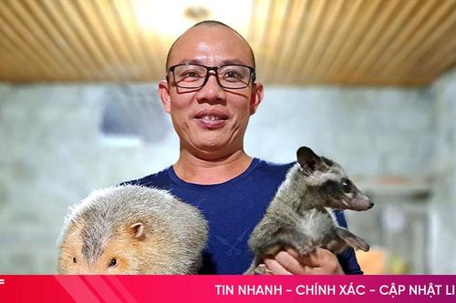 Khấm khá nhờ nuôi con 'đặc sản'