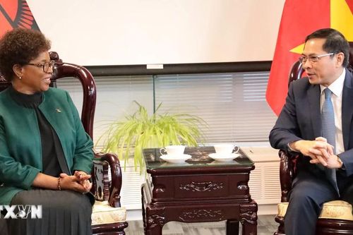 Malawi đặt nhiều kỳ vọng vào quan hệ với Việt Nam sau cột mốc lịch sử