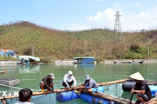 Phục hồi sản xuất nông nghiệp: Dồn mọi nguồn lực để tái thiết các ngành hàng
