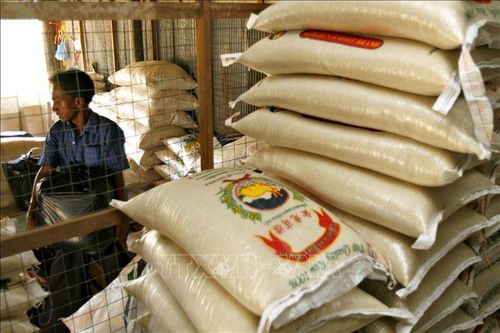 Giá gạo xuất khẩu của Thái Lan giảm xuống mức thấp nhất trong hơn một năm