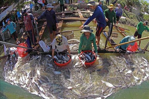 Bộ trưởng Lê Minh Hoan: Cà Mau, An Giang, Đồng Tháp cần tăng tốc triển khai các chương trình đã phê duyệt