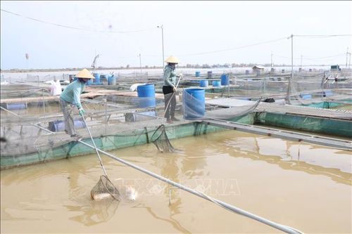 Bắc Ninh gia hạn, giảm thuế cho cá nhân, doanh nghiệp bị tổn thất do bão số 3