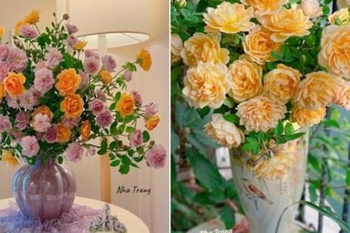Mê đắm ngôi nhà của chị đẹp Hà Nội, 365 ngày/năm đều có hoa tươi rực rỡ
