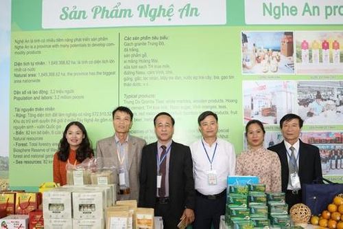 Hành trình xây dựng thương hiệu OCOP Nghệ An – Kỳ 1: Khai phá tiềm năng sản vật địa phương