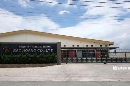 Lý do Công ty TNHH Bắc Hoằng và Công ty TNHH Star Un bị xử phạt hơn 700 triệu đồng