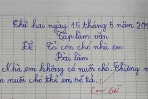 Bài văn tả 'con chó nhà em' khiến cô giáo cạn lời, phụ huynh phải suy ngẫm