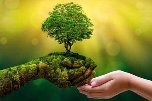 Ban Nghiên cứu phát triển kinh tế tư nhân: 64% doanh nghiệp 'chưa chuẩn bị gì' cho chuyển đổi xanh