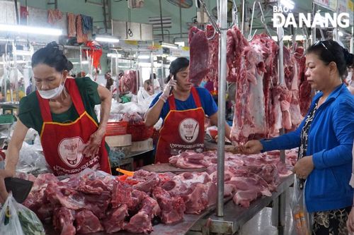 Huyện Hòa Vang công bố hết dịch tả heo châu Phi