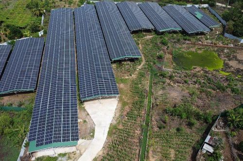 Cần gấp rút hoàn thiện chính sách cho kinh tế xanh