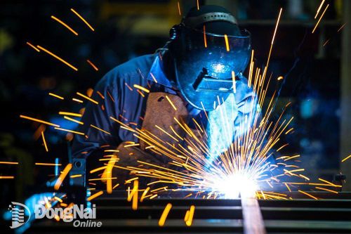 Đồng Nai có hơn 250 cơ sở sử dụng năng lượng trọng điểm