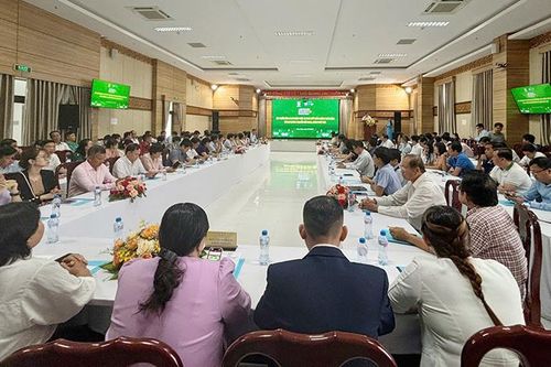 Tập huấn nâng cao nhận thức và thúc đẩy hành động thích ứng với xu hướng chuyển đổi xanh, giảm phát thải