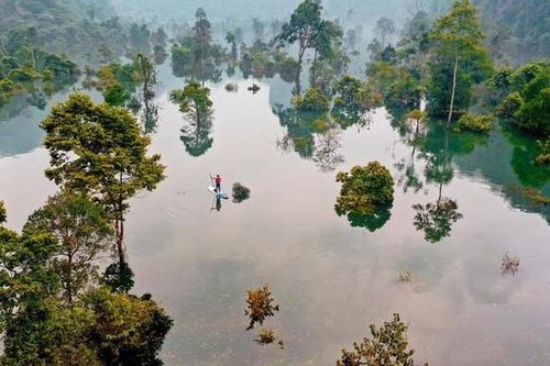 Đề cử Phong Nha - Kẻ Bàng thành Khu dự trữ sinh quyển thế giới
