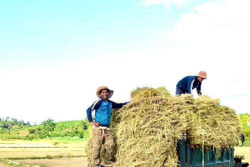 Dự án LRAMP song hành cùng người dân vùng khó - Kỳ 1: Đổi thay cùng LRAMP