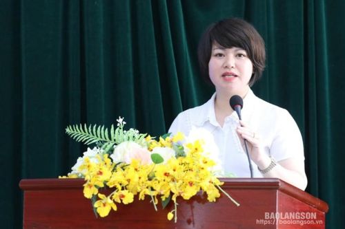 29 thí sinh tham gia vòng thi cấp tỉnh Hội thi Olympic tiếng Anh học sinh, sinh viên năm 2024