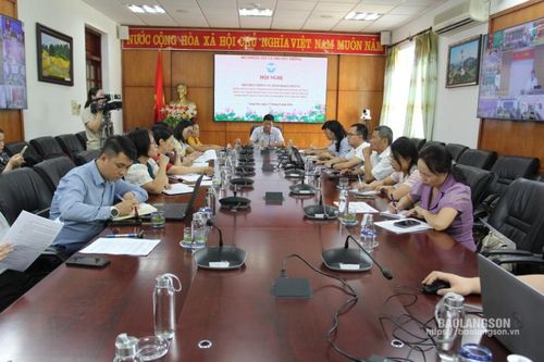 Hội nghị trực tuyến phổ biến Thông tư số 05 của Bộ Thông tin và Truyền thông
