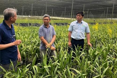 Duy trì tăng trưởng của ngành Nông nghiệp Lâm Đồng