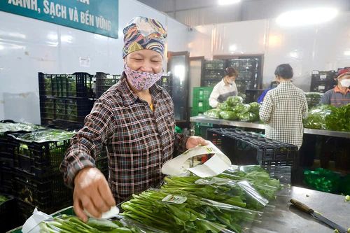 Truy xuất nguồn gốc: Nâng cao giá trị sản phẩm hàng hóa