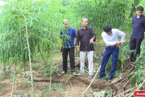 Xuất hiện vết nứt trên đồi, nguy cơ sạt lở tại xã Sốp Cộp