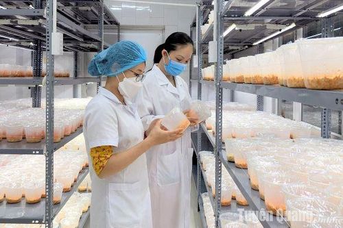 Khoa học công nghệ nhiều thành tựu nổi bật - Bài cuối: Để đề tài, dự án không 'xếp ngăn kéo'