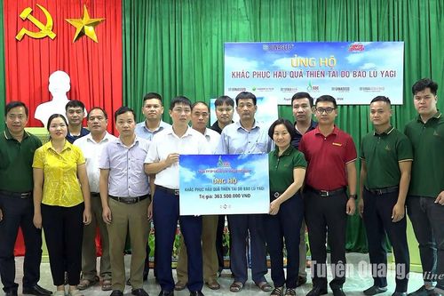 Công ty cổ phần Giống cây trồng Miền Nam ủng hộ Sơn Dương 1 tấn ngô và 1,4 tấn hạt rau khôi phục sản xuất