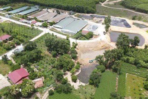 Một trại lợn ở Hà Tĩnh bị xử phạt hơn 237 triệu đồng vì vi phạm về môi trường
