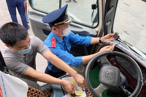 Từ 1/1/2025, tài xế không được lái xe quá 10h/ngày